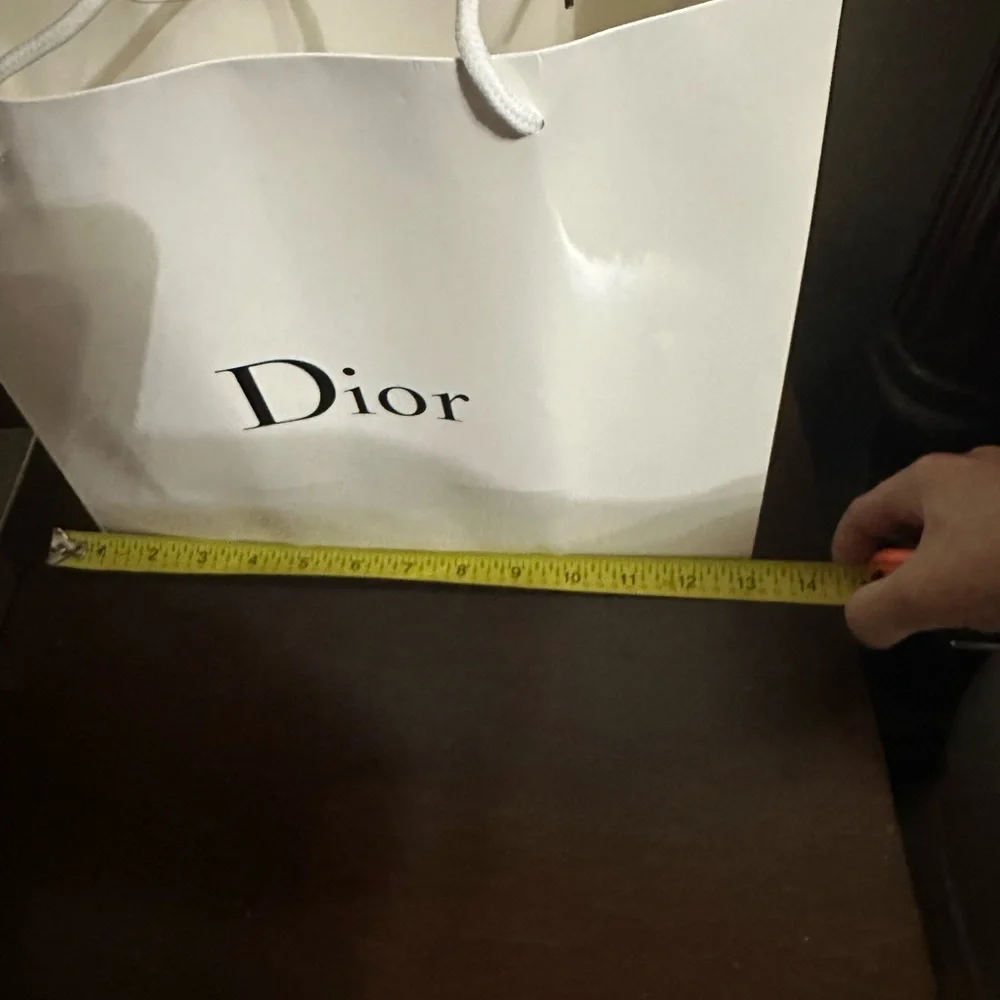 Dior gift bag new